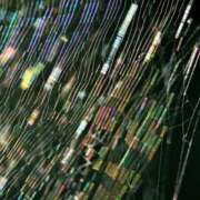 ヒメ日記 2024/12/18 08:17 投稿 こはく(昭和41年生まれ) 熟年カップル名古屋～生電話からの営み～