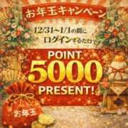 ヒメ日記 2025/12/29 17:53 投稿 こはく(昭和41年生まれ) 熟年カップル名古屋～生電話からの営み～