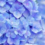 ヒメ日記 2025/06/03 13:08 投稿 足立梨子 五十路マダムエクスプレス横浜店（カサブランカグループ）