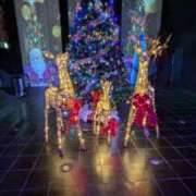 ヒメ日記 2024/12/21 16:09 投稿 かなめ 奥鉄オクテツ奈良