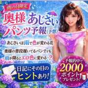 ヒメ日記 2026/06/25 06:58 投稿 かなめ 奥鉄オクテツ奈良