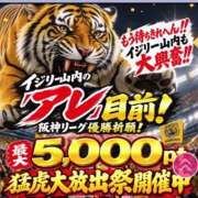 ヒメ日記 2026/09/27 16:40 投稿 かなめ 奥鉄オクテツ奈良