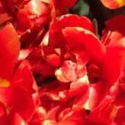 ヒメ日記 2026/03/02 20:12 投稿 三山ひとみ 五十路マダムエクスプレス横浜店（カサブランカグループ）