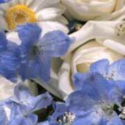 三山ひとみ 12日のお礼です 五十路マダムエクスプレス横浜店（カサブランカグループ）