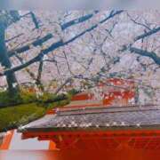 富士岡和佳奈（ふじおかわかな） 𝑺𝑨𝑲𝑼𝑹𝑨～🌸 Montrachet(モンラッシェ)