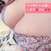 ヒメ日記 2024/12/19 19:20 投稿 さよ 丸妻 新横浜店