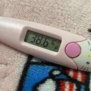 ヒメ日記 2025/01/29 11:42 投稿 さよ 丸妻 新横浜店