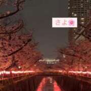 ヒメ日記 2025/04/05 21:34 投稿 さよ 丸妻 新横浜店