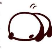 ヒメ日記 2025/05/06 16:55 投稿 さよ 丸妻 新横浜店