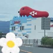 ヒメ日記 2026/03/08 08:48 投稿 真帆 静岡人妻援護会