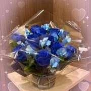 ヒメ日記 2026/03/15 07:48 投稿 真帆 静岡人妻援護会