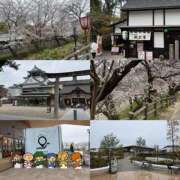 ヒメ日記 2026/03/26 14:18 投稿 真帆 静岡人妻援護会