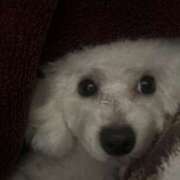 いと☆ すみません💦間違えてました！！ EXE（エグゼ）