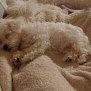 ヒメ日記 2026/03/13 09:12 投稿 いと☆ EXE（エグゼ）