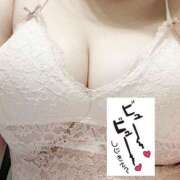 ヒメ日記 2024/12/10 15:16 投稿 りあん先生 渋谷   大人の幼稚園