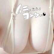 ヒメ日記 2024/12/19 12:16 投稿 りあん先生 渋谷   大人の幼稚園