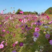 ヒメ日記 2026/10/14 13:18 投稿 りお サンキュー町田・相模原店