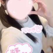 ヒメ日記 2025/05/01 17:10 投稿 ウサギお嬢様 M&m Maidとm男の夢物語。