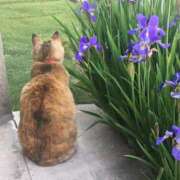 ヒメ日記 2025/01/19 11:15 投稿 藤仲 麻紀 人妻セレブ宮殿