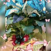 ヒメ日記 2024/12/14 20:51 投稿 せいこ 鹿児島ちゃんこ 薩摩川内店