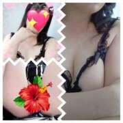 ヒメ日記 2024/12/21 11:26 投稿 せいこ 鹿児島ちゃんこ 薩摩川内店