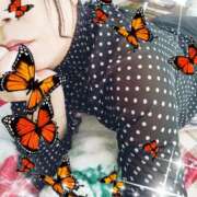 ヒメ日記 2024/12/21 13:52 投稿 せいこ 鹿児島ちゃんこ 薩摩川内店