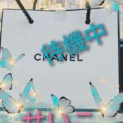 ヒメ日記 2025/01/23 13:49 投稿 せいこ 鹿児島ちゃんこ 薩摩川内店