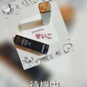 ヒメ日記 2025/02/09 15:37 投稿 せいこ 鹿児島ちゃんこ 薩摩川内店