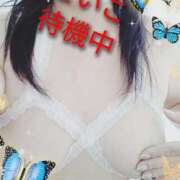 ヒメ日記 2025/02/15 10:53 投稿 せいこ 鹿児島ちゃんこ 薩摩川内店