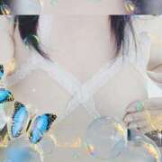 ヒメ日記 2025/02/16 12:15 投稿 せいこ 鹿児島ちゃんこ 薩摩川内店