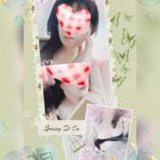 ヒメ日記 2025/03/20 19:16 投稿 せいこ 鹿児島ちゃんこ 薩摩川内店