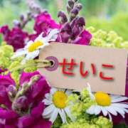 ヒメ日記 2025/04/08 13:13 投稿 せいこ 鹿児島ちゃんこ 薩摩川内店