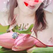 ヒメ日記 2025/04/09 18:39 投稿 せいこ 鹿児島ちゃんこ 薩摩川内店