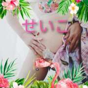 ヒメ日記 2025/06/02 12:52 投稿 せいこ 鹿児島ちゃんこ 薩摩川内店