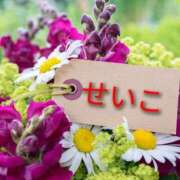 ヒメ日記 2025/07/03 06:36 投稿 せいこ 鹿児島ちゃんこ 薩摩川内店