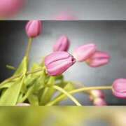 ヒメ日記 2025/07/18 19:50 投稿 せいこ 鹿児島ちゃんこ 薩摩川内店