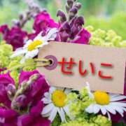 ヒメ日記 2025/07/26 17:08 投稿 せいこ 鹿児島ちゃんこ 薩摩川内店