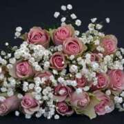 ヒメ日記 2025/07/30 21:27 投稿 せいこ 鹿児島ちゃんこ 薩摩川内店