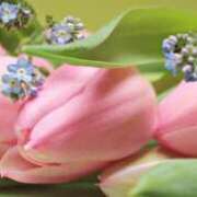 ヒメ日記 2025/08/07 05:18 投稿 せいこ 鹿児島ちゃんこ 薩摩川内店