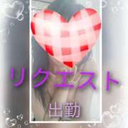 ヒメ日記 2025/08/12 09:13 投稿 せいこ 鹿児島ちゃんこ 薩摩川内店