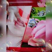 ヒメ日記 2025/08/26 14:00 投稿 せいこ 鹿児島ちゃんこ 薩摩川内店