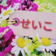 ヒメ日記 2025/09/19 23:13 投稿 せいこ 鹿児島ちゃんこ 薩摩川内店