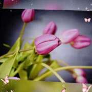 ヒメ日記 2025/09/21 06:28 投稿 せいこ 鹿児島ちゃんこ 薩摩川内店