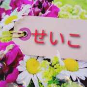 ヒメ日記 2025/09/29 06:34 投稿 せいこ 鹿児島ちゃんこ 薩摩川内店