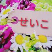 ヒメ日記 2025/10/13 21:10 投稿 せいこ 鹿児島ちゃんこ 薩摩川内店