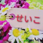 ヒメ日記 2025/11/14 11:22 投稿 せいこ 鹿児島ちゃんこ 薩摩川内店