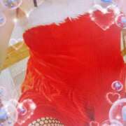 ヒメ日記 2025/11/23 22:09 投稿 せいこ 鹿児島ちゃんこ 薩摩川内店