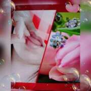 ヒメ日記 2025/11/25 17:01 投稿 せいこ 鹿児島ちゃんこ 薩摩川内店