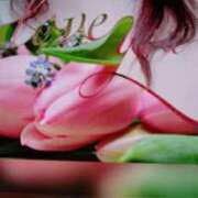 ヒメ日記 2025/12/11 14:57 投稿 せいこ 鹿児島ちゃんこ 薩摩川内店