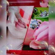 ヒメ日記 2026/01/05 06:12 投稿 せいこ 鹿児島ちゃんこ 薩摩川内店